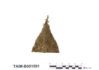 藏品(細鱗蘚科)的圖片